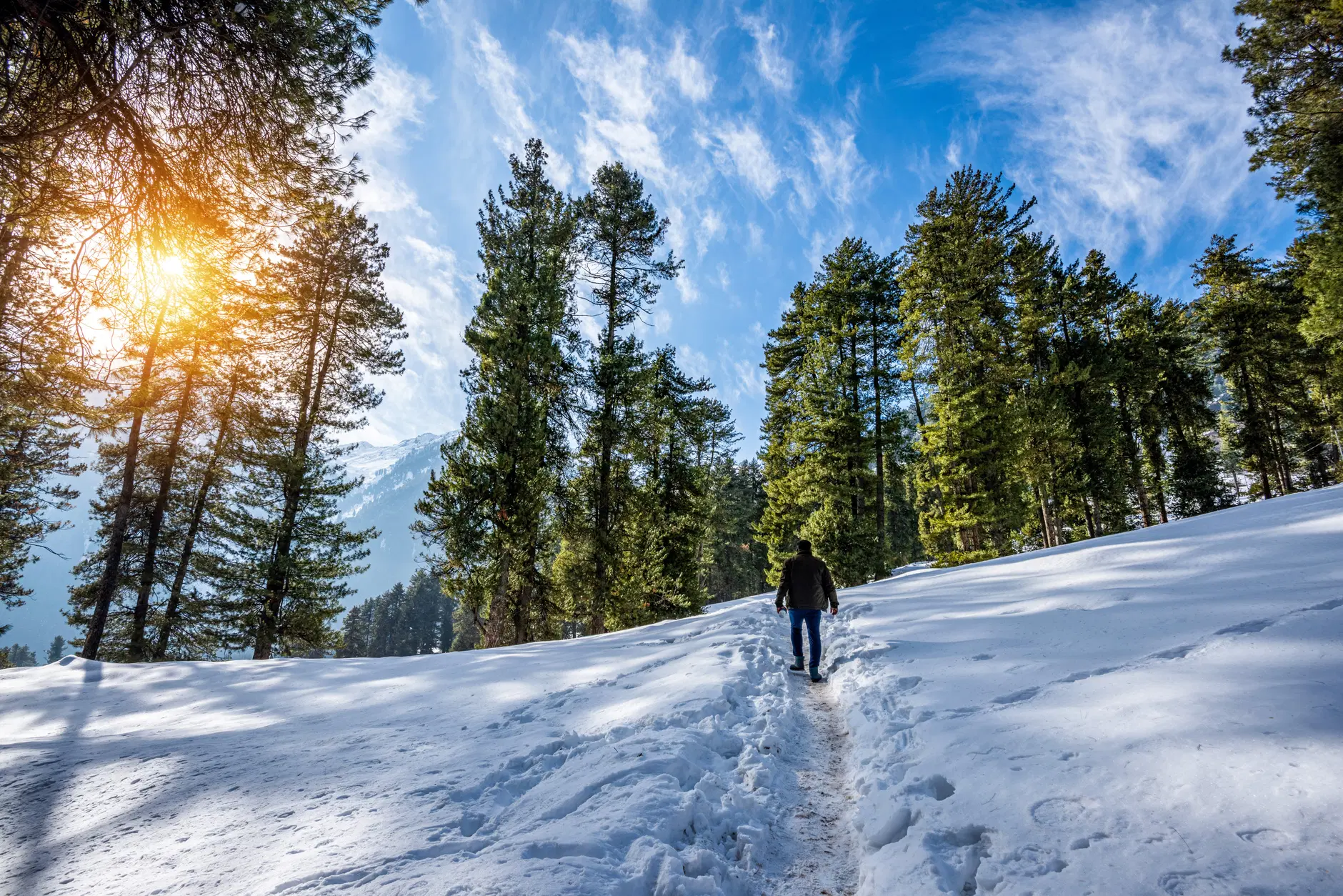 Read more about the article MANALI SHIMLA PACKAGE (3N/4D)