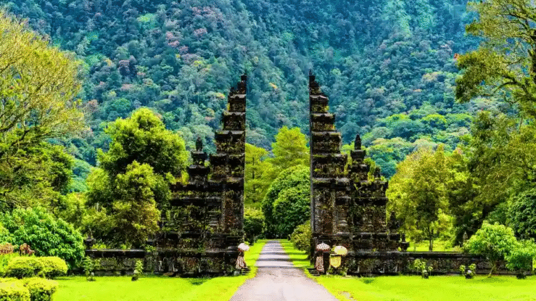 Read more about the article Discover the Best Bali Packages from Delhi: Your Ultimate Guide to an Unforgettable Island Escape